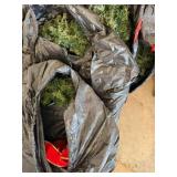 5 Large Green Wreaths