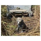 3 CONCRETE LION STATUES AND CONCRETE BENCH