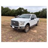 2015 Ford 1/2 Ton Pickup