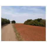 TRACT 3  148.49 Acres MOL
