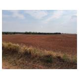 TRACT 6  160 Acres MOL