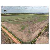 TRACT 5  160 Acres MOL