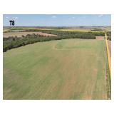 TRACT 8  160 Acres MOL