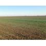 146 Acres MOL