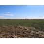 80 Acres MOL in the W/2 NW/4 20-24N-2 W.I.M.