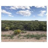 100.18 Acres MOL 17-43-9 Saguache County CO