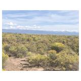 W2W2NW4 17-38-11 40 Acres MOL Alamosa County CO