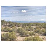 17-38-11 120 Acres MOL Alamosa County CO