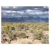 NW/4 NW/4 18-42N-10E  37 Acres MOL Saguache County