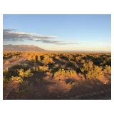 29-39-11 120 Acres MOL Alamosa County CO