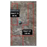 8-38N-11E & 17-38N11E 120 Acres MOL Alamosa County