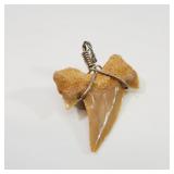 Shark Tooth Hand Wired Pendant