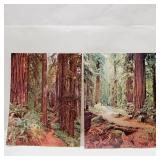 2 1976  HUGE Postcards 11 x 14' Unmailed