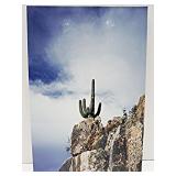 Cactus Photograph Mounted 8' x 12'