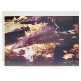 Signed Michael Jacobs '98 Water Photograph 12 x 17