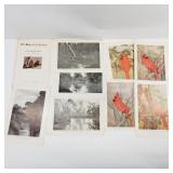 1915 Book Plates Cardinals and B&W Pictures