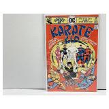 #1 Karate Kid 25ï¿½