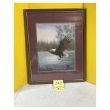 Eagle flying framed and double matted 24ï¿½ x 30ï¿½