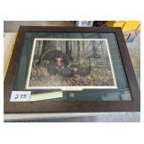 National wild Turkey Federation fan Fastic