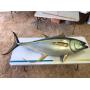 Mounted Fish