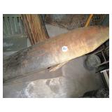 Primitive Hide Tanning Board