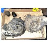 Car Horns