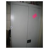Metal Cabinet (3 Foot x 2 1/2 Foot)