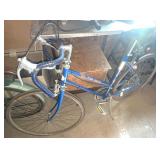 Girls 10 Speed Bike