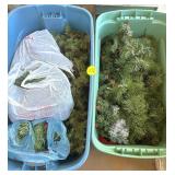 Totes & Garland