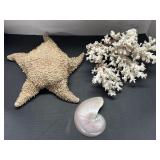 Collection of Nautical Items