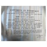 University of Pittsburgh Degree