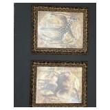 Pr Leopard Framed Wildlife Prints