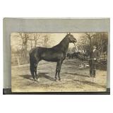 Vintage Postcard 1908