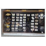 Rare Large Butterfly Collection Display