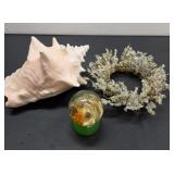 (3) Pieces Nautical Related Items (Shell, etcï¿½)