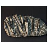 Hand Carved Genuine Belemnite and Orthoceras