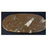 Unique Fossils