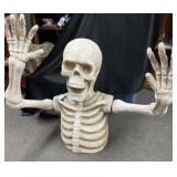 HUGE Upper Torso of a Skeleton w/LED tag, etc..