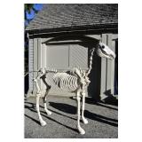 LIFE SIZE Horse Skeleton Halloween Prop