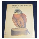 Neeka the Kestrel by David Rook