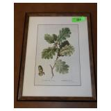 FRAMED PRINT  13 x 17