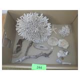 CORAL, STAR FISH, DRIFTWOOD  ***NO SHIPPING***