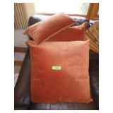 VELOUR THROW PILLOWS  24 x 24  &  9 x 18