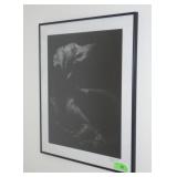 SIGNED HARRY GIGLIO WEIMARANER PHOTO 20 x 24