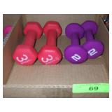 2 LB & 3 LB WEIGHTS