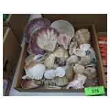 ASST. SEA SHELLS