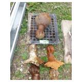 4 VINTAGE MATCHING CAST IRON BATHTUB FEET, 1 CAST>