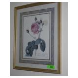 FRAMED ROSE PRINT 17 1/2 x 22