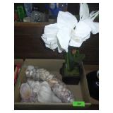 SEA SHELLS, FAUX PLANT