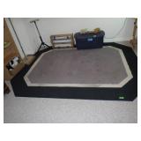 AREA RUG (NEEDS CLEANED) 8